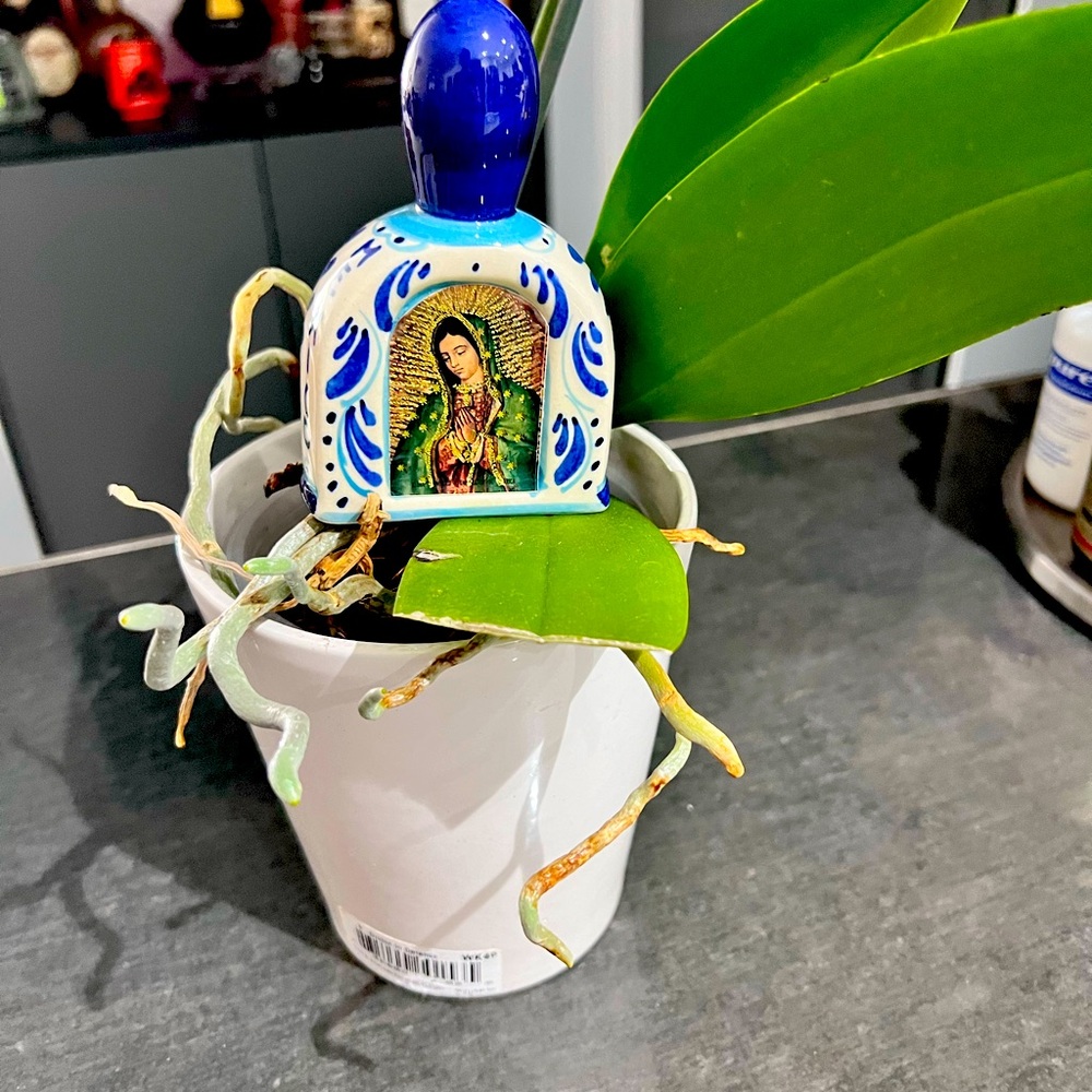 Hand made in Mexico